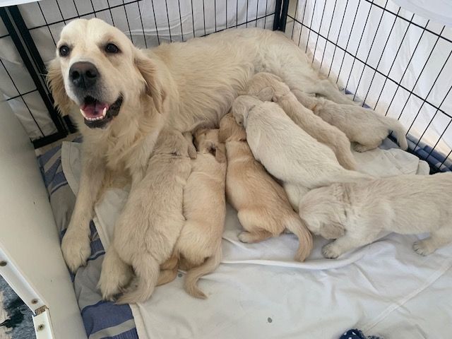 Petit moment avec maman 